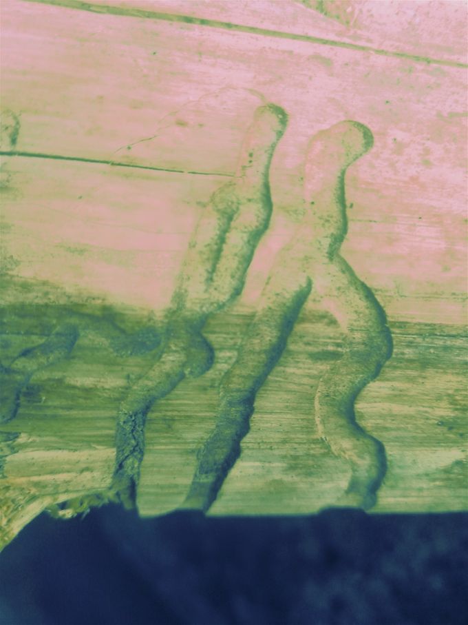 Borkoglyph : le couple